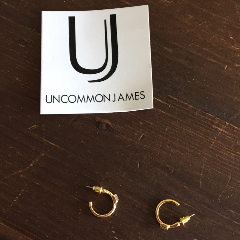 Uncommon James earrings